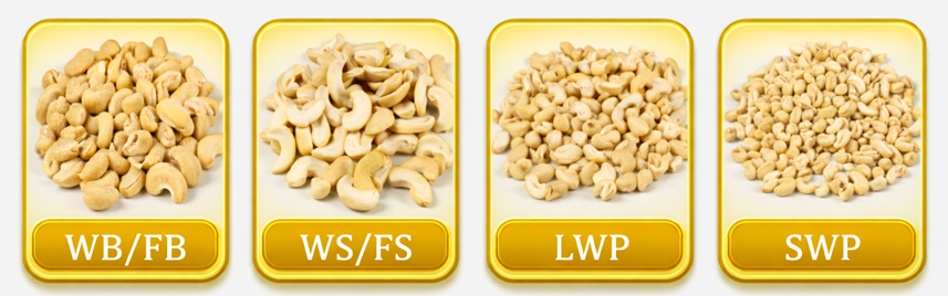 Broken Cashew Grades WB-SWP